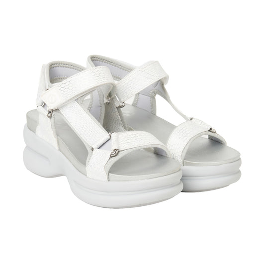 PRE ORDER CONCRETE-61233-SILVER